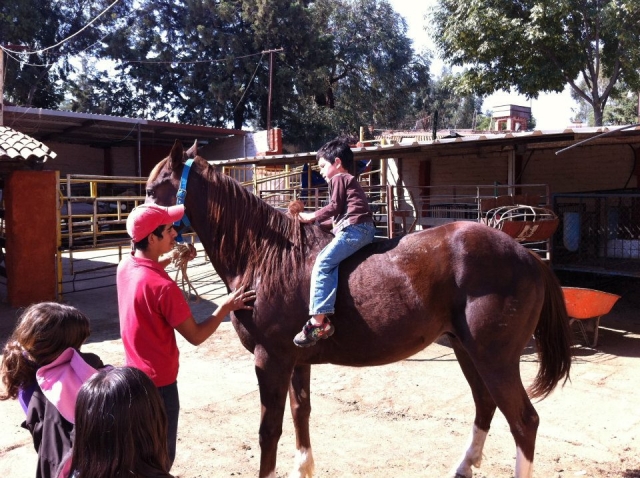 nino montando a pelo